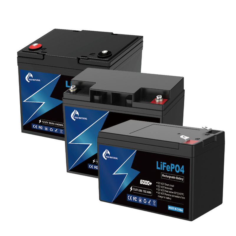 12V Lithium Ion Ijzer Fosfaat Lifepo4 Batterij 6ah 8ah 23ah 295Wh Voor Golfkar