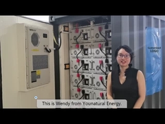 de 40ft Containerized Batterij van het de Opslagsysteem 1MW 2MWH LiFePo4 van de Batterijenergie
